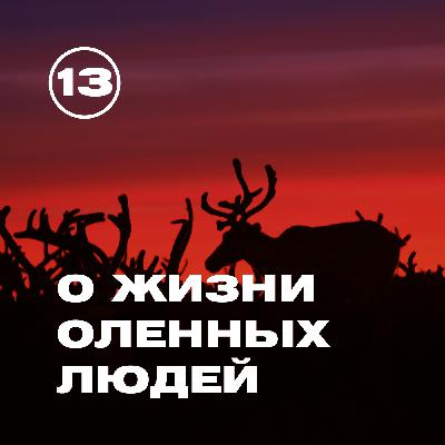 Особенности национального северного оленеводства