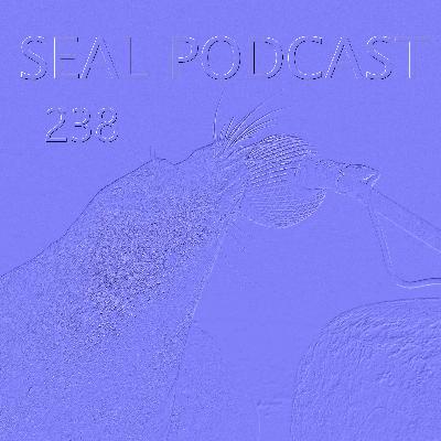 Episode 238 - Money Buckets