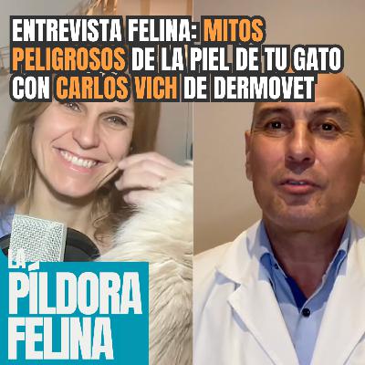 585. Entrevista Felina: MITOS PELIGROSOS DE LA PIEL de tu gato con CARLOS VICH de Dermovet 585. Entrevista Felina: MITOS PELIGROSOS DE LA PIEL de tu gato con CARLOS VICH de Dermovet