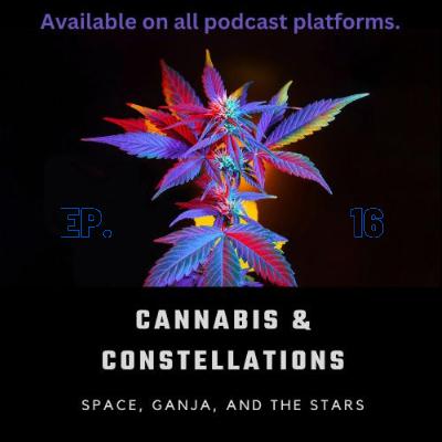A Chat: New Job Prospects, Twitter's Community Notes, UFO Sightings, and Personal Paranormal Encounters
