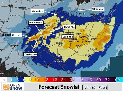 Lindsey Vonn, Powder in the Southeast, and Why Trees Are Exploding