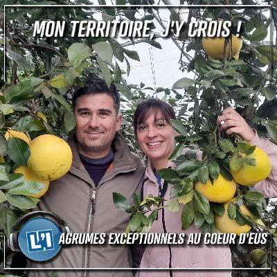 DES AGRUMES EXCEPTIONNELS AU COEUR D'EUS DES AGRUMES EXCEPTIONNELS AU COEUR D'EUS