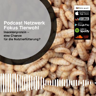Insektenprotein – eine Chance für die Nutztierfütterung?