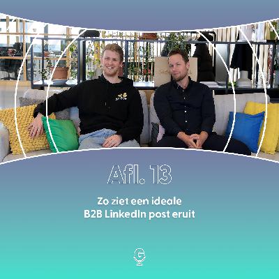 Afl 13: Zo ziet een ideale B2B LinkedIn post eruit