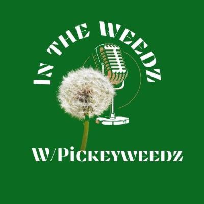 S1E01 In The Weedz Episode One - Introduction S1E01 In The Weedz Episode One - Introduction