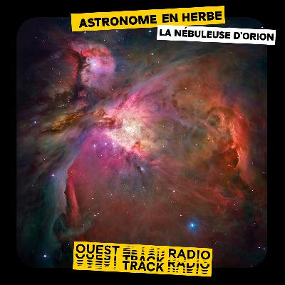 Astronome en herbe : La nébuleuse d'Orion
