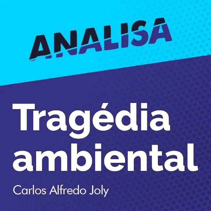 Analisa