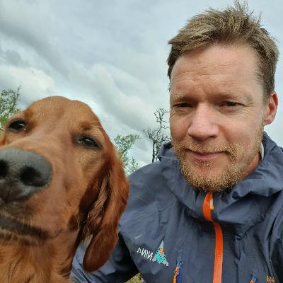 Taksering, og årets rypebestand