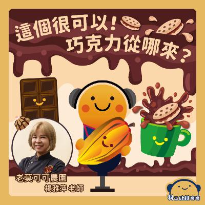 這個很可以！巧克力從哪來？