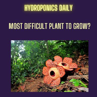 Rafflesia: The World's Hardest Plant to Grow
