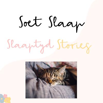 Ep3 Dumbo die olifant wat kon vlieg