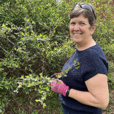 Spring Pruning Tips