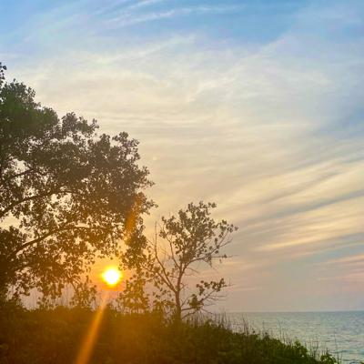 “Nature Heals” A Guided Meditation