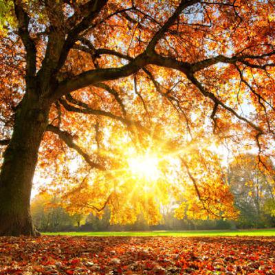 You Are Spiritual Sunshine, We Are All One with God at Our Core