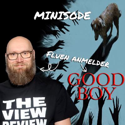 THE VIEW REVIEW PODCAST - MINISODE - "GOOD BOY" THE VIEW REVIEW PODCAST - MINISODE - "GOOD BOY"