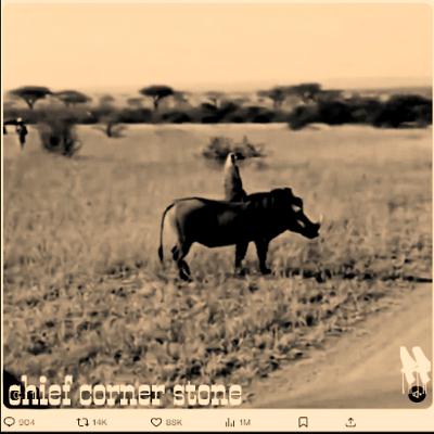 Wherefore my bowels shall sound like an harp for Moab, and mine inward parts for Kirharesh. Wherefore my bowels shall sound like an harp for Moab, and mine inward parts for Kirharesh.