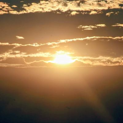 GRATITUDE FOR CREATION