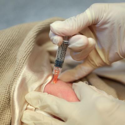 Hospitals see an uptick in infant RSV infections this fall Hospitals see an uptick in infant RSV infections this fall