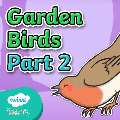 Garden Birds Quiz for Kids Part Two | VIDEO EPISODE