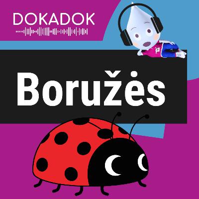 Boružė: maža, miela... ir plėšrūnė?! Boružė: maža, miela... ir plėšrūnė?!