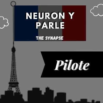 Neuron y Parle - Épisode pilote - Les bébés sont des génies linguistiques !