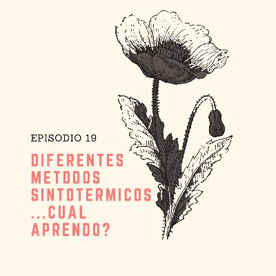 19 Diferentes métodos sintotérmicos... ¿cuál aprendo?