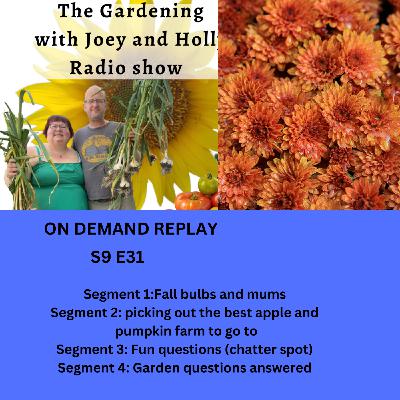 Episode 1479: S9E31Fall bulbs and mums, picking out the best apple and pumpkin farm to go to, chatter spot - The Gardening with Joey and Holly Radio Show