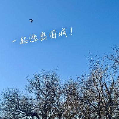 EP08 害怕过年?在《围城》中寻找丢失的自我 EP08 害怕过年?在《围城》中寻找丢失的自我