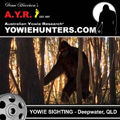 Yowie Sighting at Deepwater, Queensland - 2019