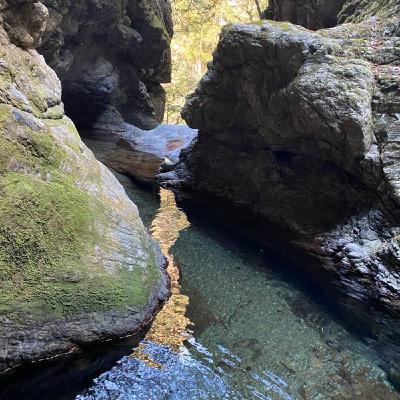 おばあちゃん　100歳を超えてのミラクル物語り