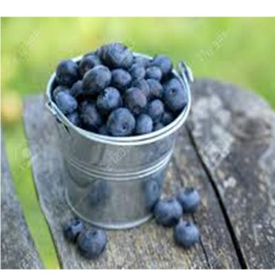 A berry loving bear (16-18)