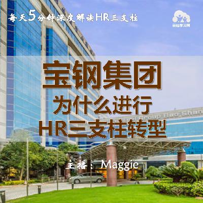 Vol.49 案例来啦！宝钢集团为什么进行HR三支柱转型