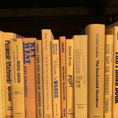 Resenha crítica de "A seleção" - introdução