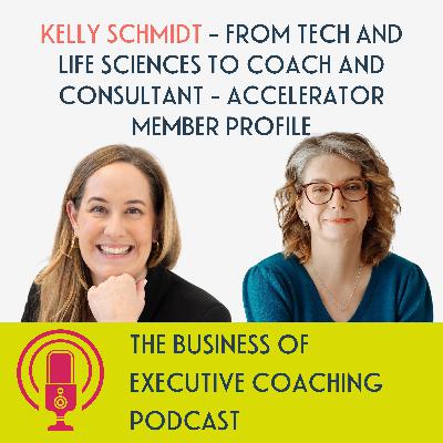Kelly Schmidt - from Tech and Life Sciences to Coach and Consultant - Accelerator Member Profile