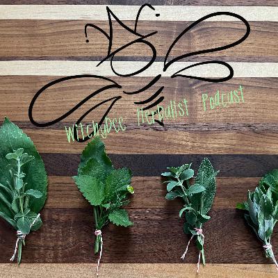 Introduction to the Witchybee Herbalist Podcast Introduction to the Witchybee Herbalist Podcast
