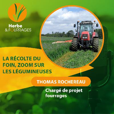 HERBE ET FOURRAGES - La récolte du foin, zoom sur les légumineuses