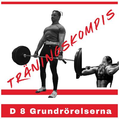 D 8 Grundrörelserna D 8 Grundrörelserna