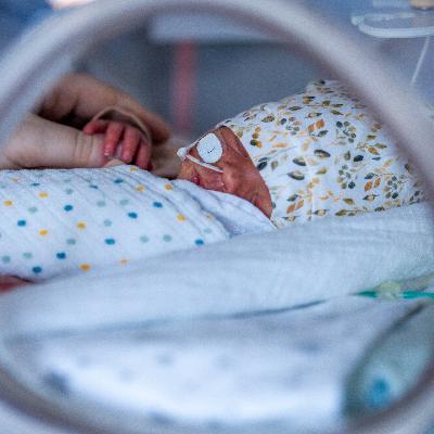 Mama, Papa und Medizin – Wie Frühchen bessere Chancen haben Mama, Papa und Medizin – Wie Frühchen bessere Chancen haben