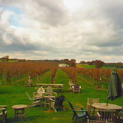 Episode 114: Long Island Wine, pt. 2