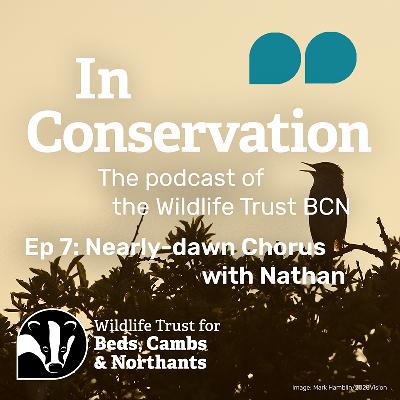 Episode 7: Nearly-dawn Chorus with Nathan
