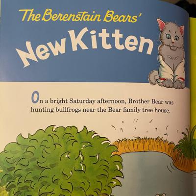 The Berenstain Bears and the new kitten