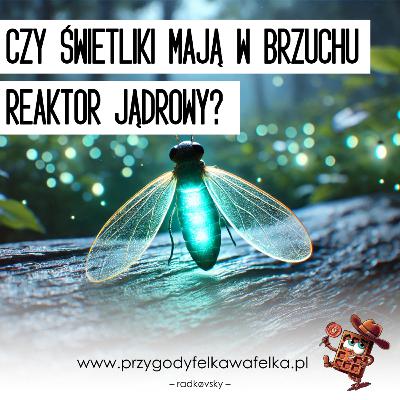 Czy świetliki mają reaktor jądrowy? 💡 nauka dla dzieci | ciekawostki naukowe (SNF_015)