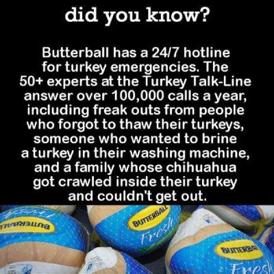 Governo Meloni e femminismo Governo Meloni e femminismo