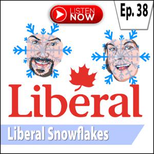Liberal Snowflakes Liberal Snowflakes