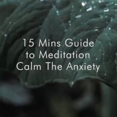 Calm The Anxiety