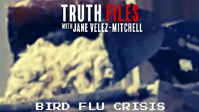 The Truth Files w Jane Velez-Mitchell: How Bird Flu Has Shut Down A Massive Egg Operation!