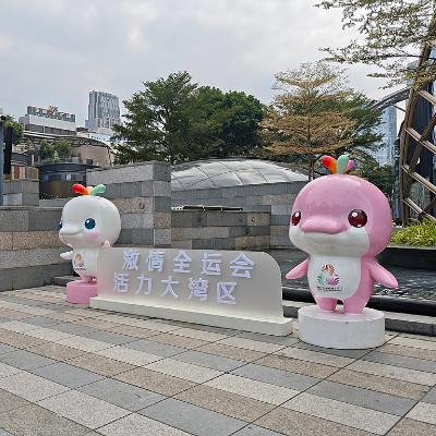 Greater Bay Area lights up National Games