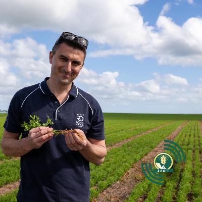 SAGIT Podcast #20 - Pulse crop root health surveys - Blake Gontar