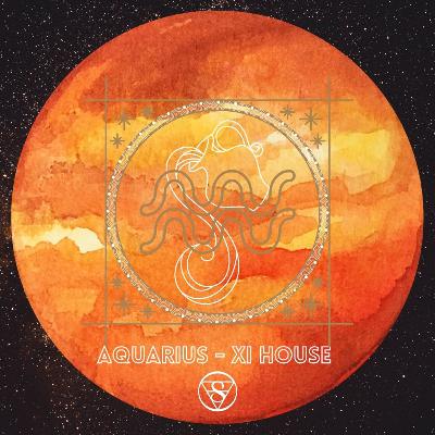 SUN ENTERS AQUARIUS (January 19 / February 18, 2021)