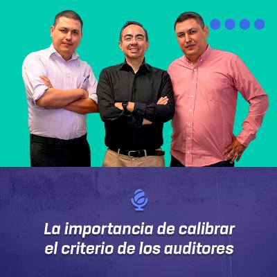 La importancia de calibrar el criterio de los auditores